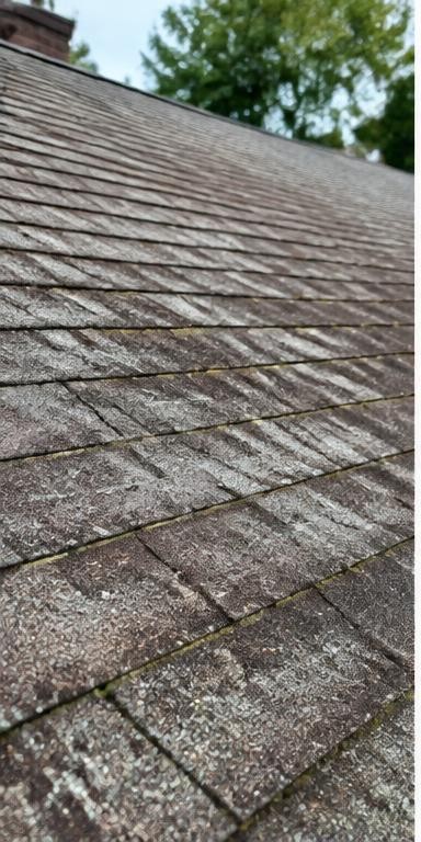Document the old roof